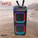 კარაოკე დინამიკი