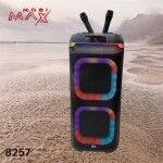 კარაოკე დინამიკი