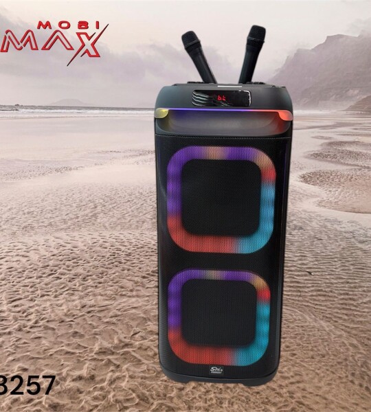 კარაოკე დინამიკი