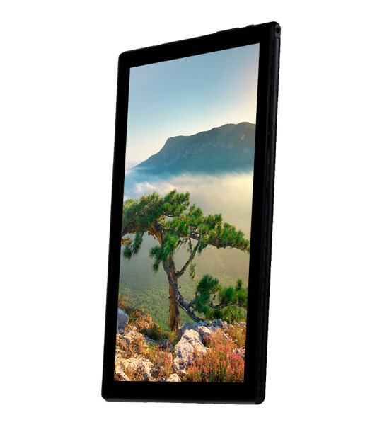 პლანშეტი Sigma mobile Tab A1010