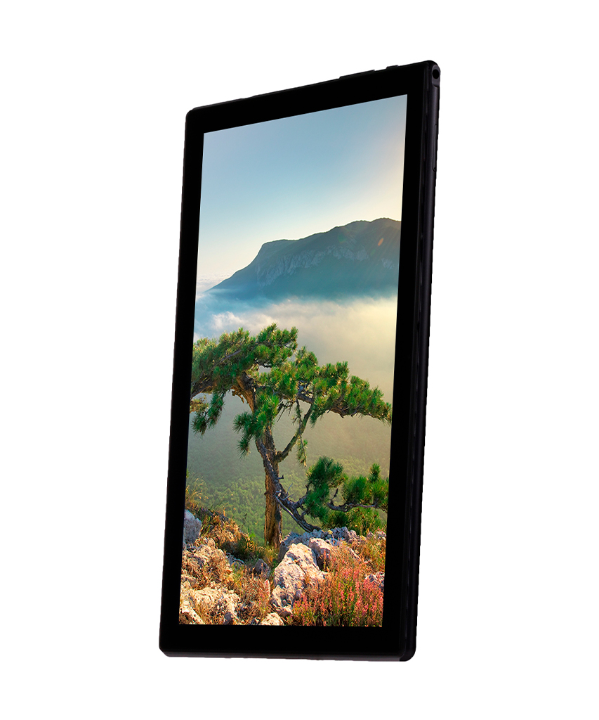 პლანშეტი Sigma mobile Tab A1010